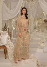 Afrozeh Stiched (3pc) Net | EFE-06 ZYVA - Formal Collection