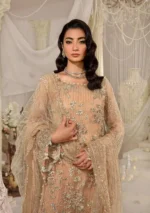 Afrozeh Stiched (3pc) Net | EFE-06 ZYVA - Formal Collection - Image 3