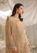 Afrozeh Stiched (3pc) Net | EFE-06 ZYVA - Formal Collection - Image 4